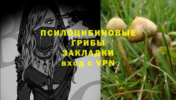 марки nbome Алексеевка