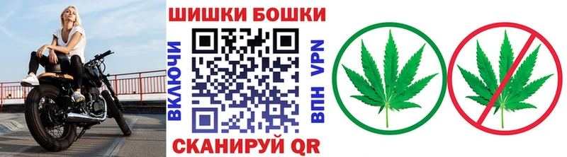 мега ссылки цена наркотик Заволжск Марихуана сатива